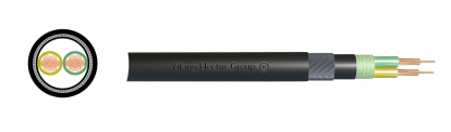 0.6/1kV Double Core XLPE Insulation Power Cable