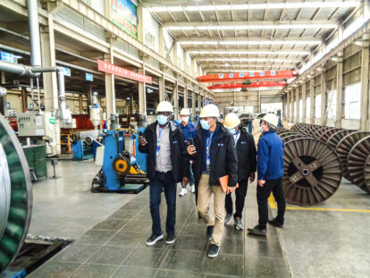 Guinea-Bissau customers visit Yifang Electric